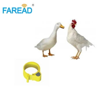 x100pcs RFID TK4100 chip125Khz RFID пръстен за крак тагове за идентифициране на пиле и патица
